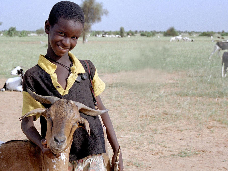 Junge mit Ziege in Mauretanien